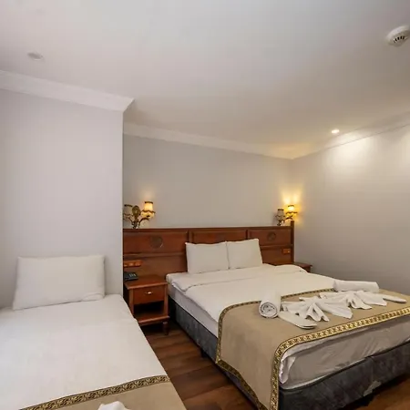 ホテル Valdivia Sultanahmet 3*