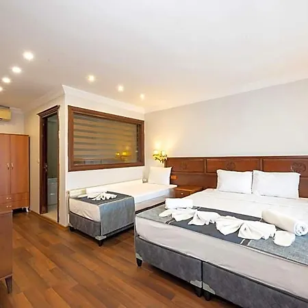 호텔 Valdivia Sultanahmet 3*