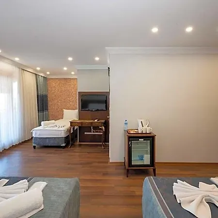 호텔 Valdivia Sultanahmet 3*