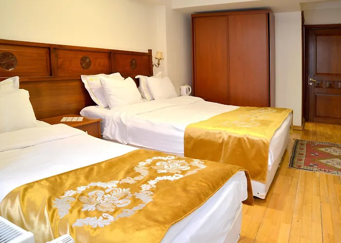 ホテル Valdivia Sultanahmet 3*