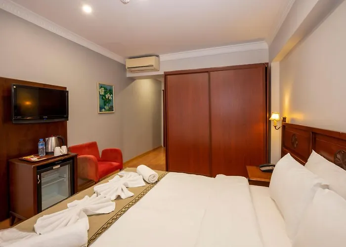 Valdivia Sultanahmet ホテル 3*