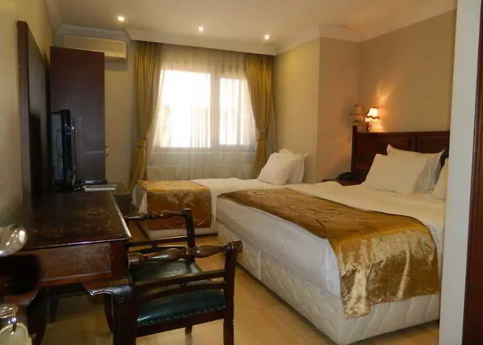 ホテル Valdivia Sultanahmet 3*