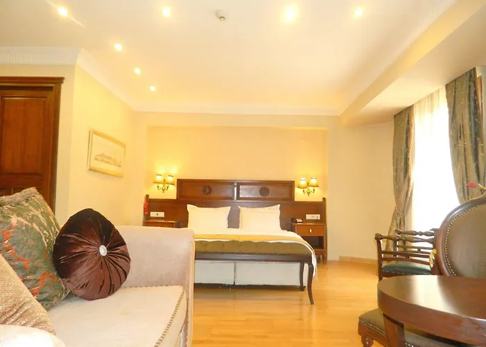 Valdivia Sultanahmet ホテル 3*