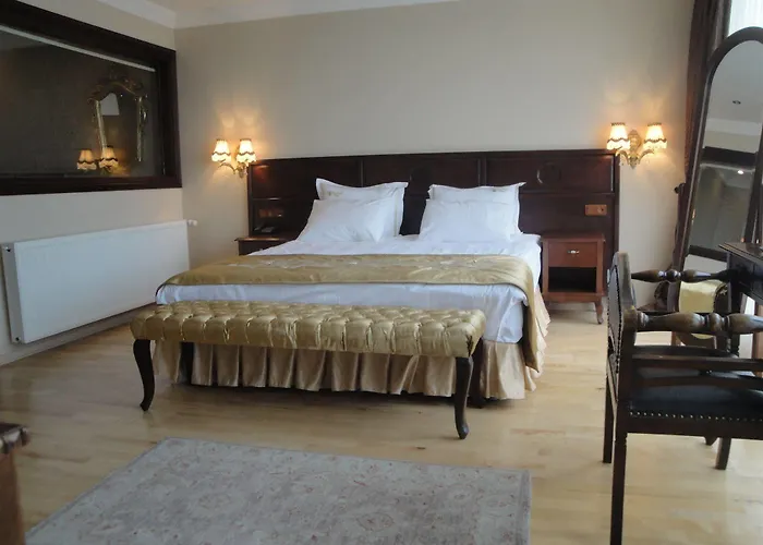 Valdivia Sultanahmet ホテル イスタンブール