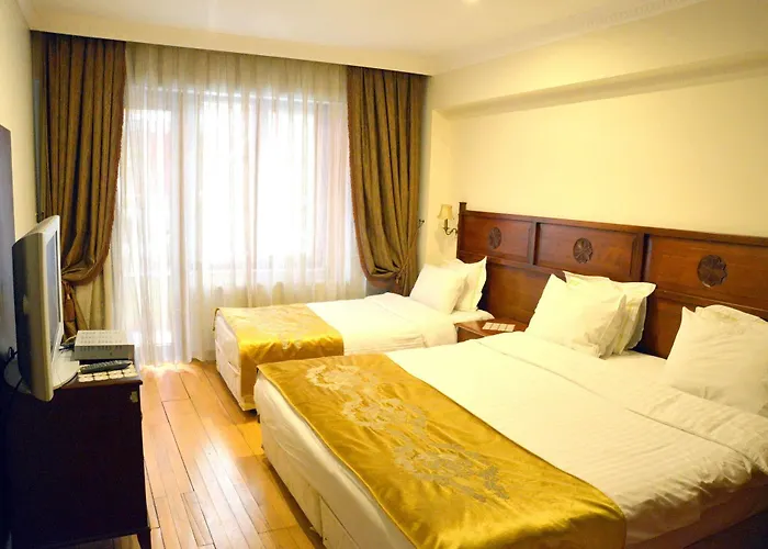 Valdivia Sultanahmet 3*