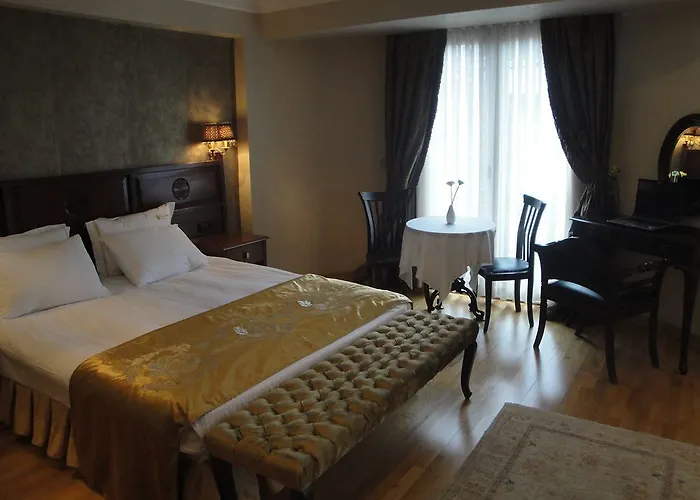 Otel Valdivia Sultanahmet 3*